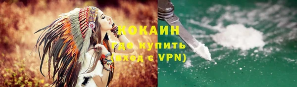 индика Алексеевка