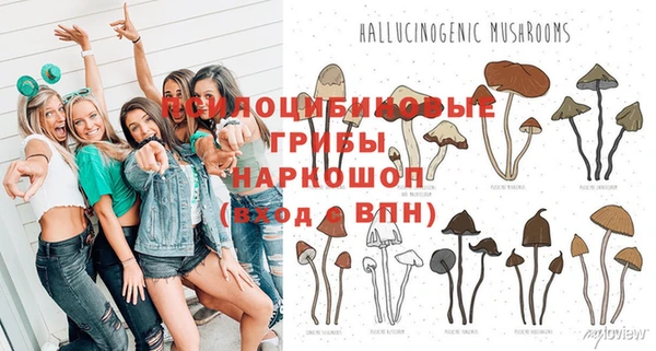 индика Алексеевка