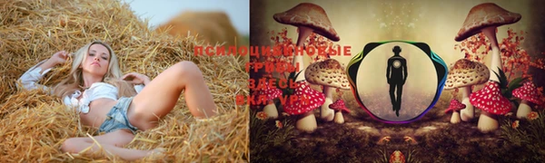 индика Алексеевка