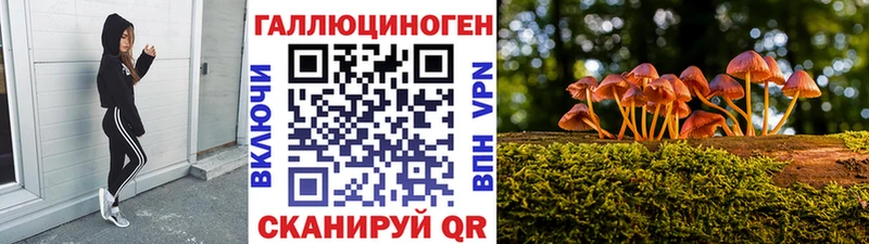 купить наркотик  Алексеевка  Галлюциногенные грибы мухоморы 
